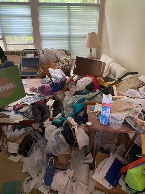 Before IREP hoarder eviction clear out